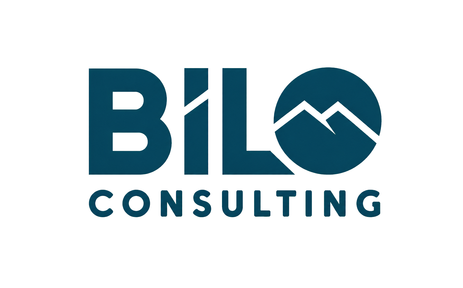 Bilo Consulting